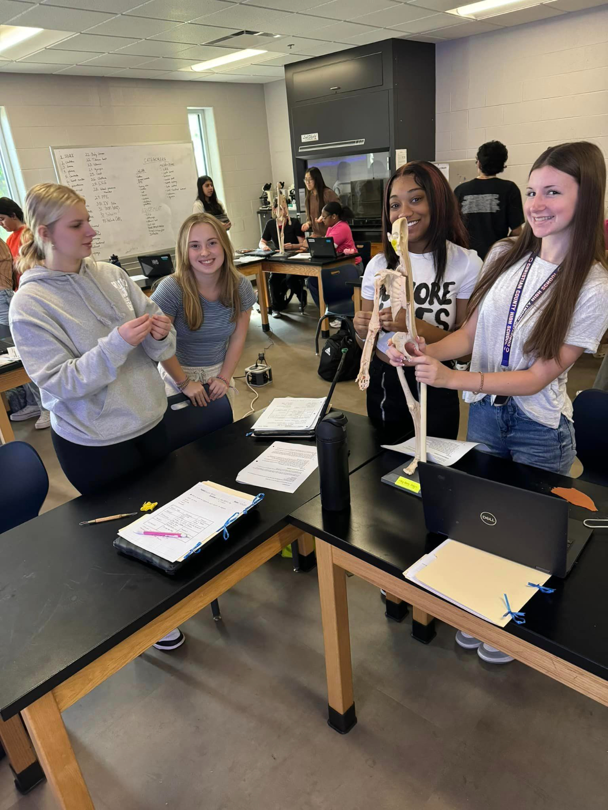 Biomed Human Body Systems Scholars Dive into Bone Exploration with Hands-On Learning Biomed Human Body Systems Scholars Dive into Bone Exploration with Hands-On Learning