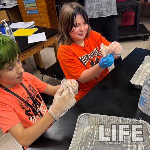 7th Grade Science Students Explore Anatomy by Dissecting Chicken Wings 7th Grade Science Students Explore Anatomy by Dissecting Chicken Wings