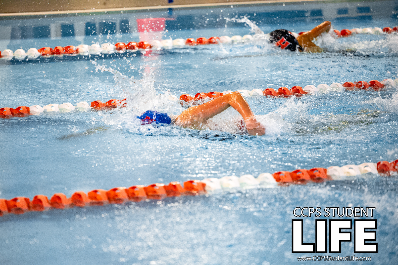 Christian County and Hopkinsville Swimmers Compete against Bowling Green High School