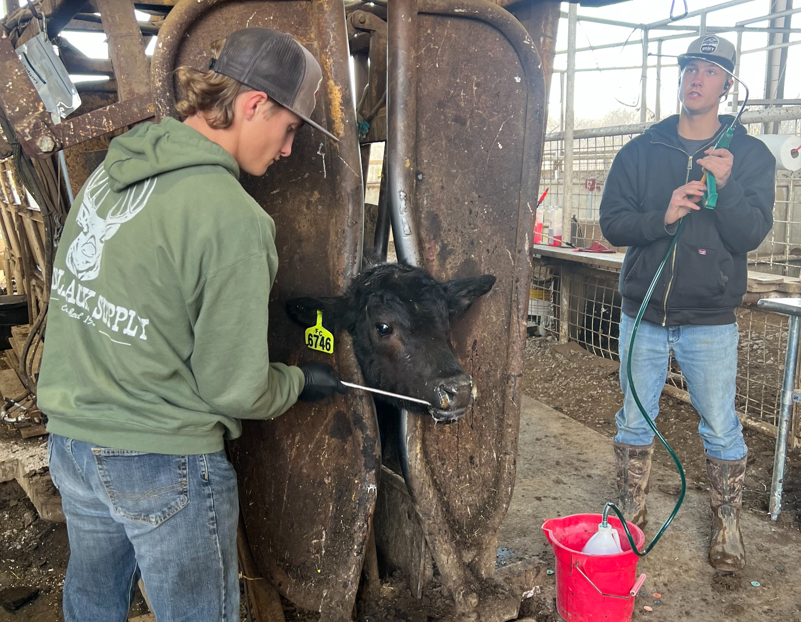 Noah and Micah Hook Gain Hands-On Experience at Fox Creek Cattle Company Noah and Micah Hook Gain Hands-On Experience at Fox Creek Cattle Company