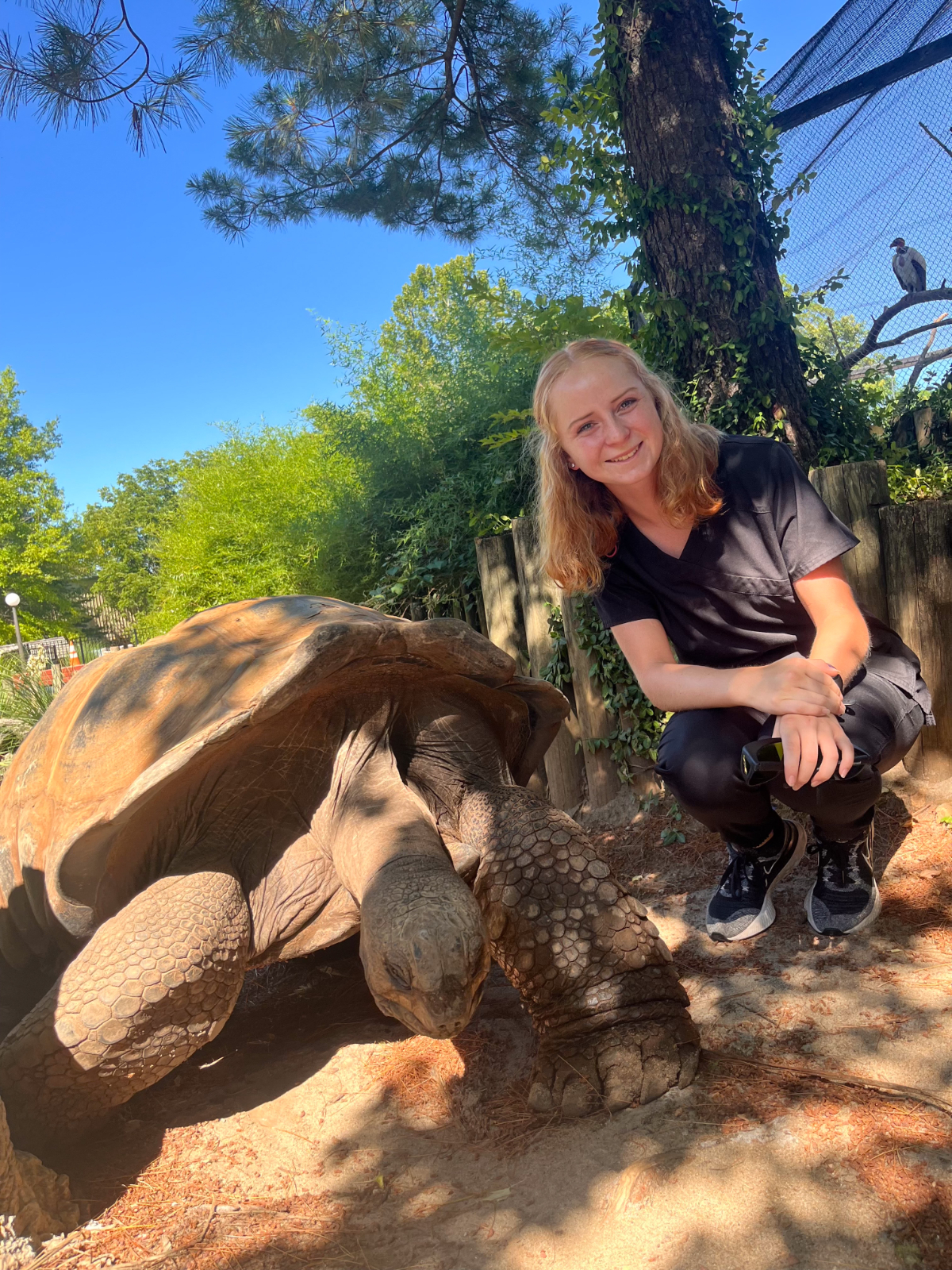 HHS Alumna Allison Wood Accepted into Auburn University College of Veterinary Medicine HHS Alumna Allison Wood Accepted into Auburn University College of Veterinary Medicine