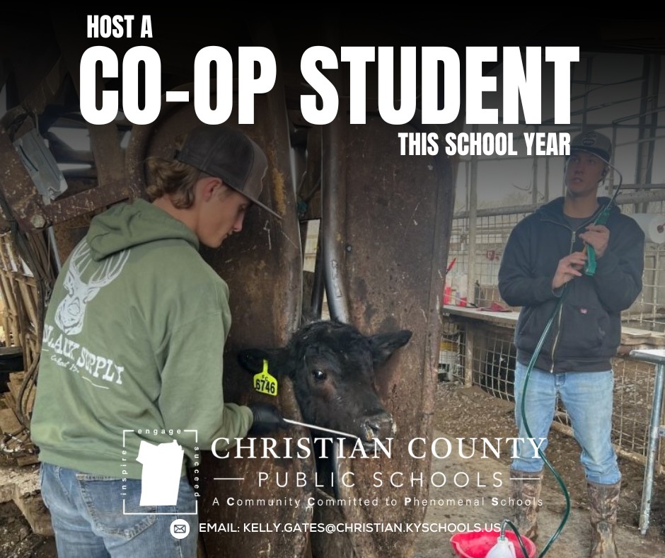 Local Businesses: Partner with Future Talent Through the Co-Op Program Local Businesses: Partner with Future Talent Through the Co-Op Program